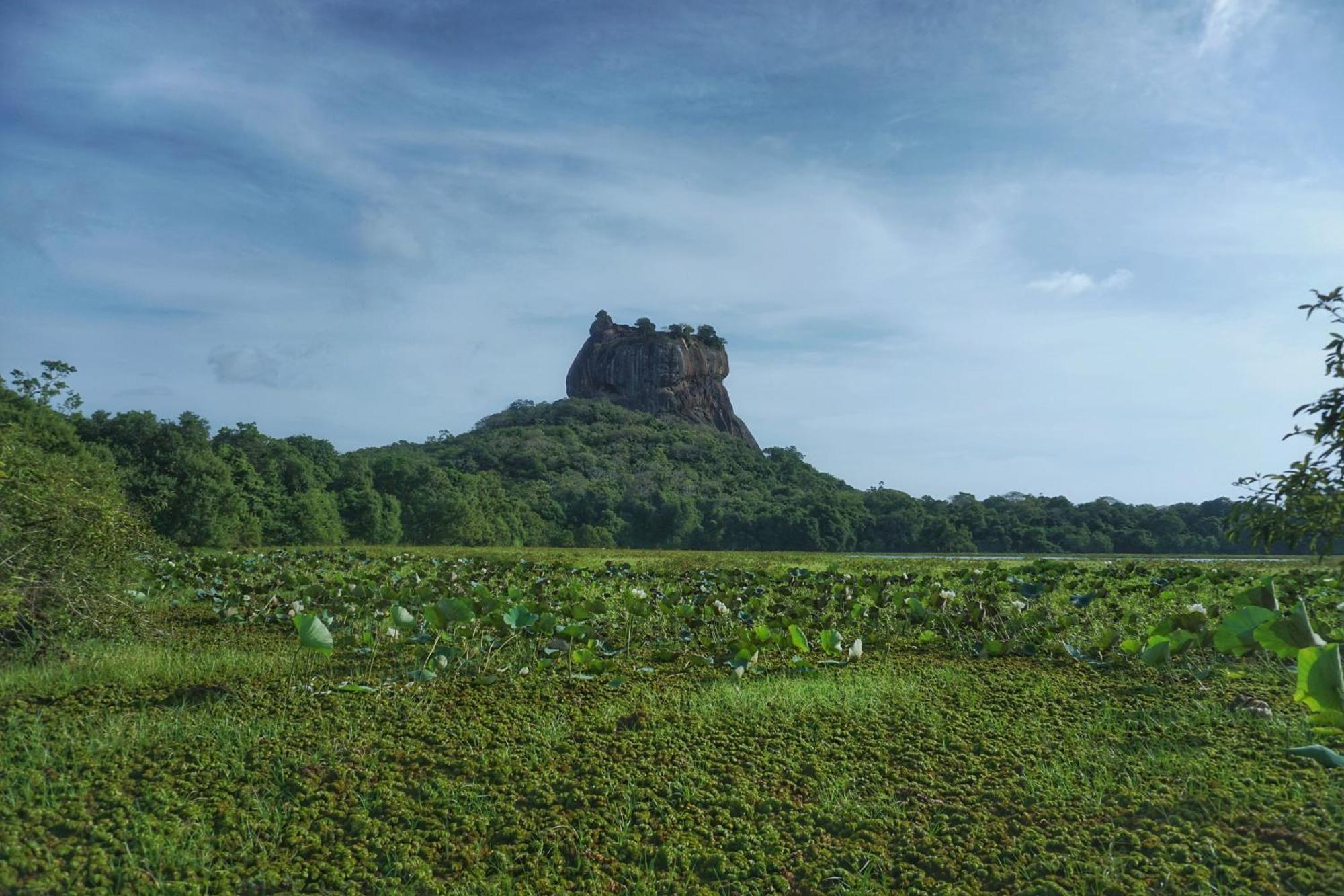 Sashini Homestay Sigiriya Eksteriør billede