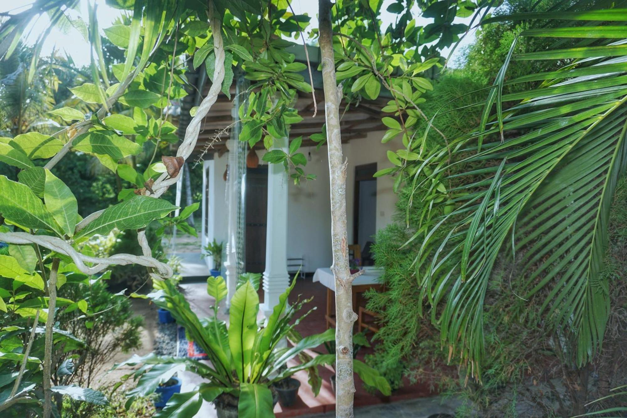 Sashini Homestay Sigiriya Eksteriør billede